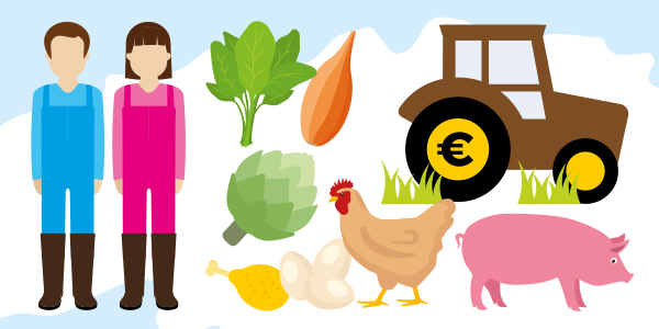 Infographie Agriculteurs de Bretagne pour l'agence de communication Newsens
